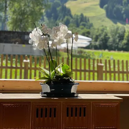 Alpstuga Beach Chalet 